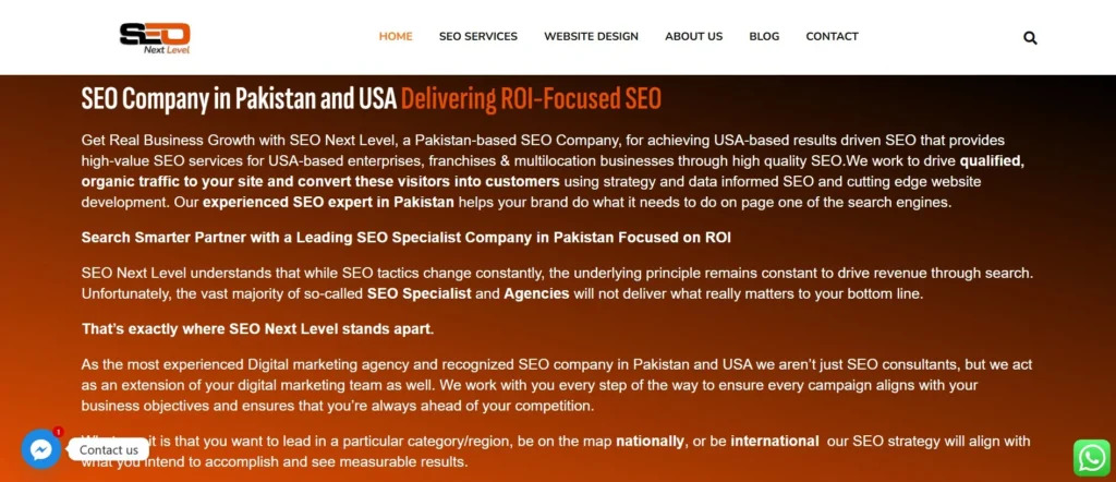 seo company seo next level